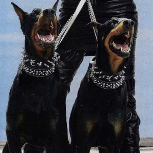 国产男女无套✅免费转件
